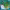 https://res.cloudinary.com/billionhands/image/upload/v1777799025/items/r7penhhpa3g5fzytukmi.webp-1cover