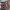 https://res.cloudinary.com/billionhands/image/upload/v1777800462/items/yn4sfjgxqcqauda8kflt.jpg-1cover
