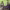 https://res.cloudinary.com/billionhands/image/upload/v1777800733/items/tnkx9fz6syorkucwjby1.jpg-2cover