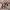 https://res.cloudinary.com/billionhands/image/upload/v1777800740/items/ofsad23g6g3rjygaozjz.jpg-2cover