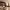 https://res.cloudinary.com/billionhands/image/upload/v1777802159/items/mvgoo9htbsilgkuyjxx0.jpg-2cover