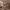 https://res.cloudinary.com/billionhands/image/upload/v1777802164/items/cbxzkpoulu7uszjk4ixc.jpg-2cover