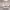 https://res.cloudinary.com/billionhands/image/upload/v1777802164/items/h9qurqqsvnv6aog8i6sw.jpg-2cover