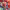 https://res.cloudinary.com/billionhands/image/upload/v1777803494/items/dvxmfrmyciymhfqrrv6c.webp-2cover