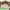 https://res.cloudinary.com/billionhands/image/upload/v1777811115/items/qszfmkqnqkl2dizaiylh.jpg-1cover