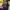 https://res.cloudinary.com/billionhands/image/upload/v1777812844/items/jih97kmxw0oca9m2losq.avif-1cover