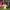 https://res.cloudinary.com/billionhands/image/upload/v1777813322/items/higeqq6xtvtgacewslr5.jpg-1cover