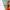 https://res.cloudinary.com/billionhands/image/upload/v1777813392/items/ae8crijbcqw2dmnbfoun.jpg-0cover