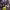 https://res.cloudinary.com/billionhands/image/upload/v1777815840/items/a0cpqlb2wamrgruu01co.jpg-3cover