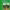 https://res.cloudinary.com/billionhands/image/upload/v1777818158/items/pst4evgnvvhcu2zzcvma.jpg-1cover