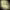 https://res.cloudinary.com/billionhands/image/upload/v1777818165/items/wixdplzo1dbuylvmwv4i.jpg-3cover