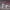 https://res.cloudinary.com/billionhands/image/upload/v1777819074/items/t0yovkbunvaagw88nd8g.webp-2cover