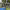 https://res.cloudinary.com/billionhands/image/upload/v1777820456/items/mkr9daf8rpuydiw92jex.jpg-0cover