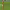 https://res.cloudinary.com/billionhands/image/upload/v1777821411/items/beqcajrk6fwopp9squup.jpg-2cover