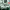 https://res.cloudinary.com/billionhands/image/upload/v1777824401/items/jqyb6so25dethya3vgjt.jpg-0cover