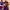 https://res.cloudinary.com/billionhands/image/upload/v1777828126/items/fxrixukd4o2jgakwkxw8.jpg-3cover