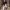 https://res.cloudinary.com/billionhands/image/upload/v1777833376/items/z8xxdzmw68e9n2brzy2u.jpg-3cover