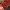 https://res.cloudinary.com/billionhands/image/upload/v1777836549/items/tkvau94qozht2vnv1kxu.jpg-3cover