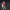 https://res.cloudinary.com/billionhands/image/upload/v1777837099/items/sivqlgvwiyiixg07pdcq.avif-3cover