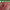 https://res.cloudinary.com/billionhands/image/upload/v1777837103/items/glse7xbngsp8ronuurw8.avif-0cover