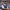 https://res.cloudinary.com/billionhands/image/upload/v1777837120/items/i9loka2abnfvysnhcqjt.webp-2cover