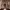 https://res.cloudinary.com/billionhands/image/upload/v1777837751/items/jdns74twoxdlwfd6anl9.webp-0cover