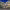 https://res.cloudinary.com/billionhands/image/upload/v1777837752/items/zmauetoxz5sxerqc8mxj.jpg-2cover