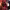 https://res.cloudinary.com/billionhands/image/upload/v1777840784/items/w5vdgkdenlehbqk0mbxk.jpg-2cover