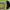 https://res.cloudinary.com/billionhands/image/upload/v1777840785/items/zijx1kicvm1txvlq8vud.webp-2cover