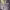 https://res.cloudinary.com/billionhands/image/upload/v1777842579/items/shzoxlfmvybwg6cct7mk.jpg-0cover