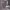 https://res.cloudinary.com/billionhands/image/upload/v1777842581/items/c32wonwkaaizedhve2di.jpg-1cover
