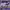 https://res.cloudinary.com/billionhands/image/upload/v1777842585/items/rlevrqimtndcbgygcn95.jpg-2cover