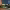 These are the key artificial intelligence trends in journalism for 2026 (Alianza de Medios MX) cover