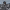 https://res.cloudinary.com/billionhands/image/upload/v1777844624/items/ppcu1ltnr6zllbgz4xtd.jpg-2cover