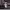 https://res.cloudinary.com/billionhands/image/upload/v1777846945/items/cy4pgx31cjpyqwc6c0ir.jpg-3cover