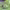 https://res.cloudinary.com/billionhands/image/upload/v1777846958/items/damk8w7gbeq1qpt7xf6l.jpg-1cover