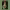 https://res.cloudinary.com/billionhands/image/upload/v1777848423/items/vuuiufp3kcfugp5ntqjw.jpg-0cover