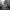 https://res.cloudinary.com/billionhands/image/upload/v1777848425/items/wkrmdmvjskjc7fveouey.jpg-3cover