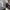 https://res.cloudinary.com/billionhands/image/upload/v1777851401/items/qvj3landio2a3vsccvf8.webp-3cover