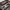 https://res.cloudinary.com/billionhands/image/upload/v1777851844/items/klau2wt04fvbpdq2pya2.webp-3cover