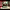 https://res.cloudinary.com/billionhands/image/upload/v1777852513/items/bid8sndjn7dx0bl4wehn.jpg-0cover