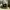https://res.cloudinary.com/billionhands/image/upload/v1777852515/items/yzkmxdjwayit6c7zfova.jpg-3cover