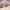 https://res.cloudinary.com/billionhands/image/upload/v1777853960/items/sob9ql9dqf70tnzoxyxk.jpg-1cover