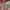 https://res.cloudinary.com/billionhands/image/upload/v1777854643/items/cidr0he0qxqpixz6vbh6.webp-2cover