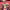 https://res.cloudinary.com/billionhands/image/upload/v1777854643/items/m1kjrjixnjecqhyomfry.webp-1cover