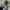 https://res.cloudinary.com/billionhands/image/upload/v1777855091/items/i5x5h0kcz0djxsqzypfm.jpg-1cover