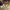 https://res.cloudinary.com/billionhands/image/upload/v1777855427/items/rxahgarhryd9qmiwqetn.jpg-2cover