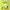 https://res.cloudinary.com/billionhands/image/upload/v1777855620/items/hatzwnofhgxnxwmig60v.jpg-0cover