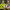 https://res.cloudinary.com/billionhands/image/upload/v1777855888/items/aqlce3y8pupvjp1euvup.jpg-2cover