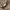 https://res.cloudinary.com/billionhands/image/upload/v1777860593/items/pevp3zzkgsojexm2fi3l.jpg-0cover
